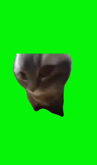 チピチピチャパチャパ猫