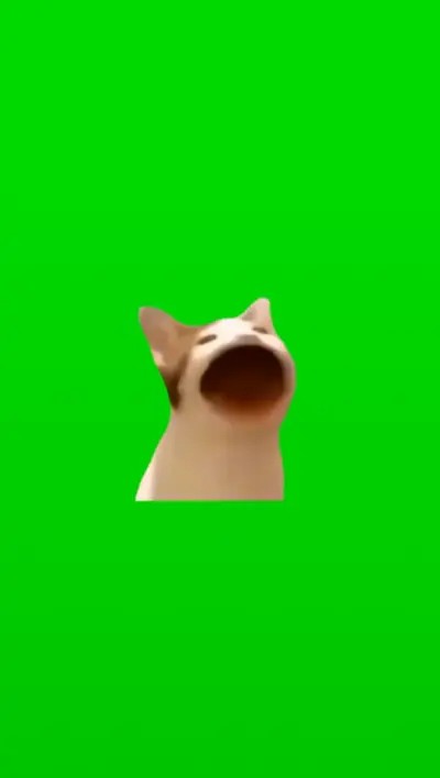 口をパクパクする猫(POPCAT)