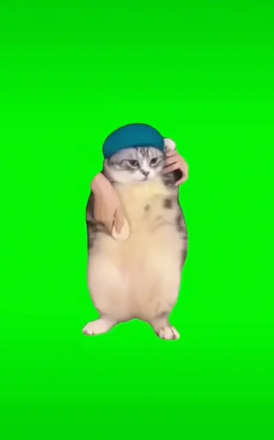 アヴリルラヴィーン猫