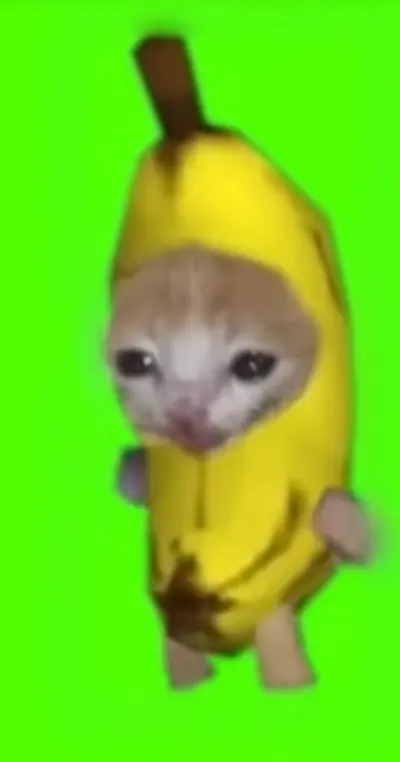 バナナ猫
