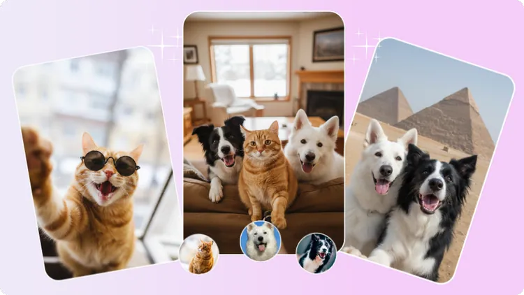 Pet Selfie Memes Generated with FlexClip