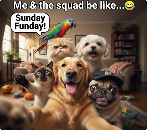 Pet Selfie Memes Generated with FlexClip