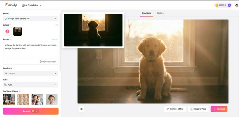 Generate and Download Your Lighting-enhanced Picture