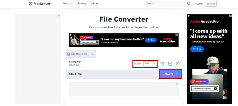 Select the Output Format for the New Video