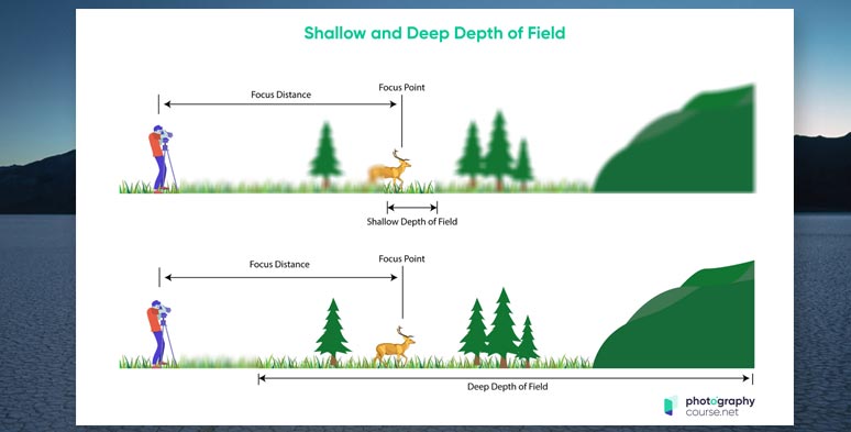 Shallow and deep depth of field