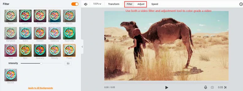 Color grade a video using both video filter and adjustment tool