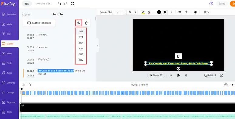 Proofread and edit auto-generated subtitles and download subtitles in diverse subtitle formats