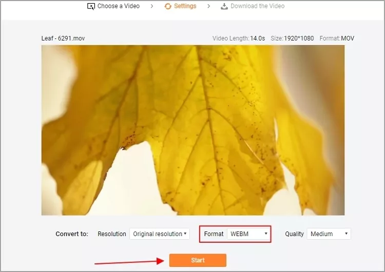 How to Convert MOV to WebM with FlexCip - Step 2