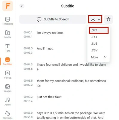 Download the Loaded Subtitle File as SRT Format