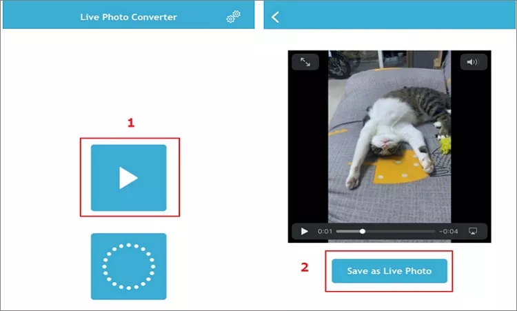How to Turn A Video Into A Live Photo - Lively Converter