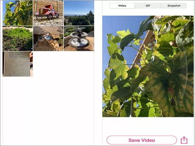 How to Turn A Video Into A Live Photo - LP Converter