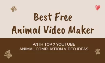 animal video