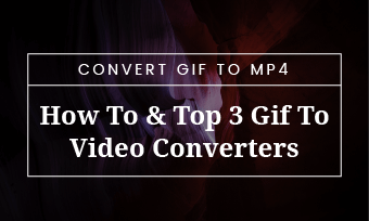 Add gif to video: add music and put gif in mp4 video with online video maker  and converter