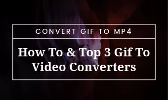 Top 16 Methods to Convert GIF to MP4 on Multiple Devices