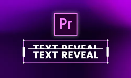 create text reveal in premiere pro