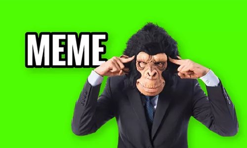 Monkey calling using phone meme (Green Screen) – CreatorSet