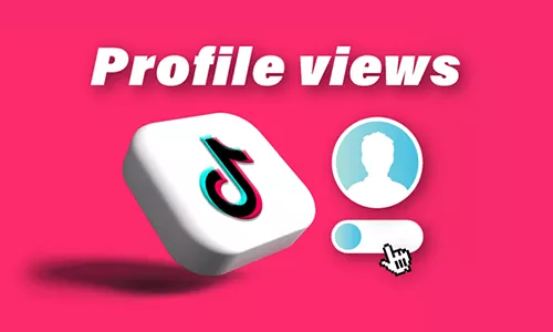 how to turn on profile views on tiktok