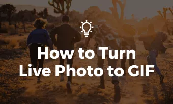 10 Ways to Turn a Video into a GIF – Plerdy