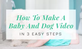 make a baby and dog video