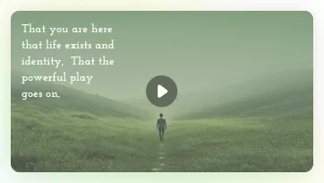 poem video