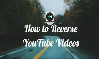 reverse youtube video