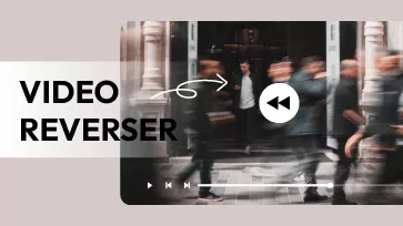 video reverser