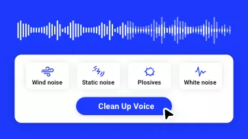 voice cleaner