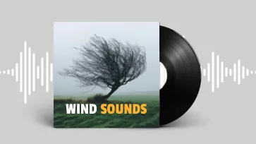 wind sound effect