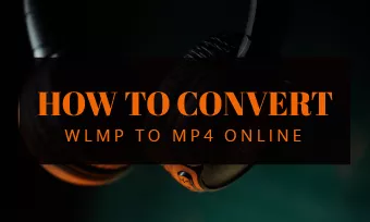 wlmp to mp4