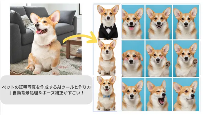 ペットの証明写真作成ツール