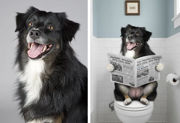 AI犬のバスルーム写真