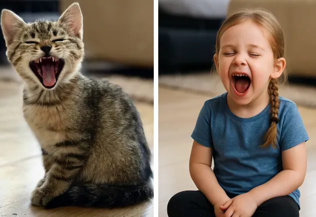 猫を人間に変換