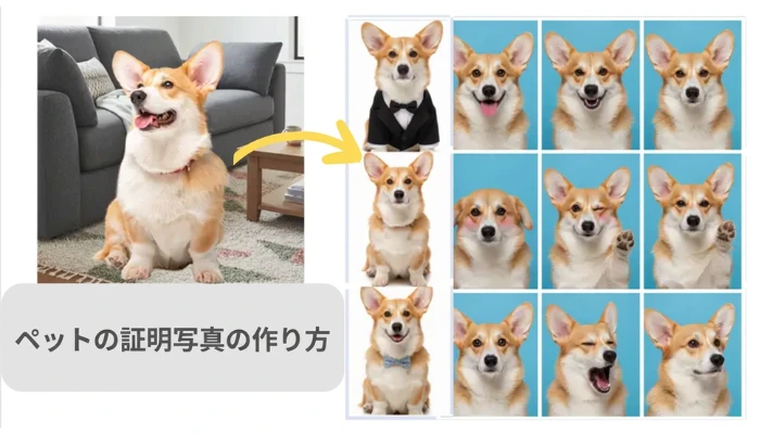 ペットの証明写真の作り方