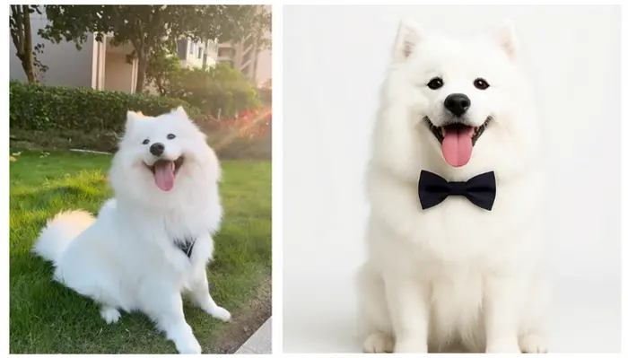 可愛いペットの証明写真プロンプト