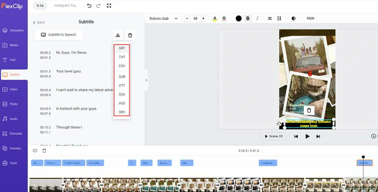 Download subtitles in SRT and other formats for other repurposings