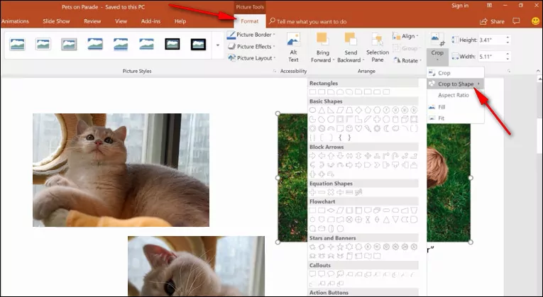 crop-in-powerpoint-how-to-change-shape-of-a-picture