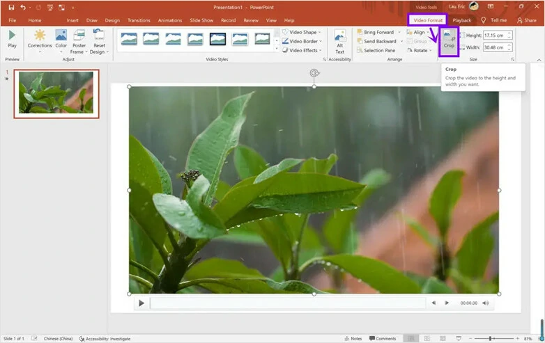 Hidden Video Cropping Tool for Windows 10 - PowerPoint