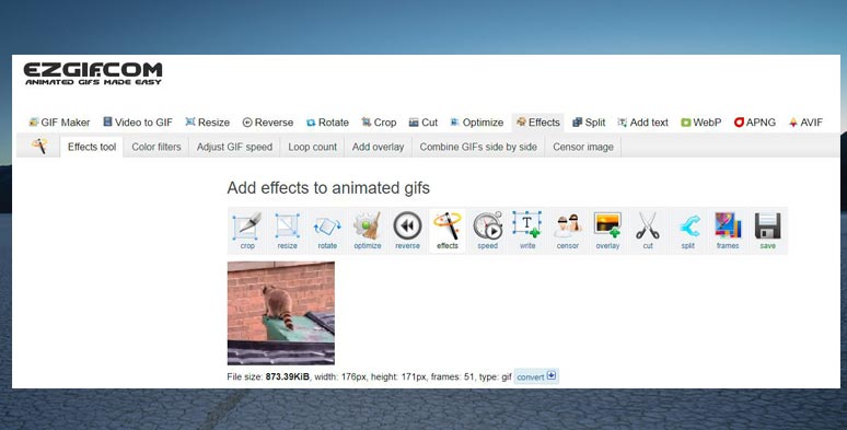 Easy GIF Animator - animated GIF image editor for Windows.