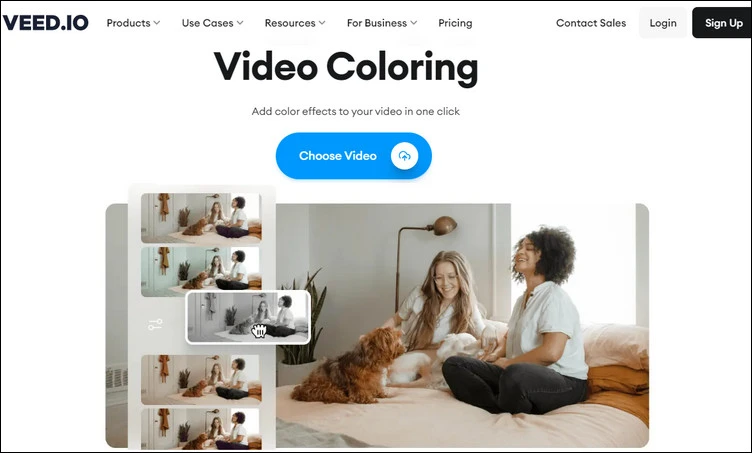 Online Video Color Editor - Veed.io