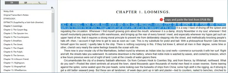 Duplicate text from EPUB file