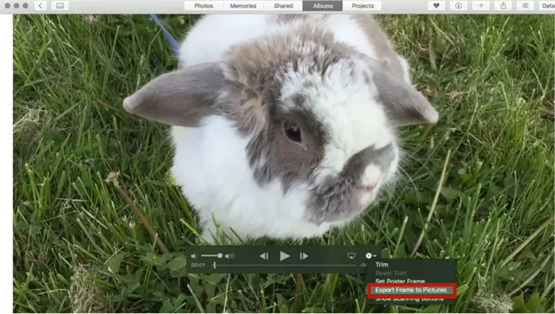 Extract Frames from Video on Mac