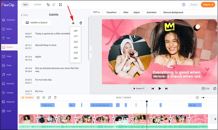 Extract and Edit Subtitles from MKV Online with FlexClip - Download Subtitle