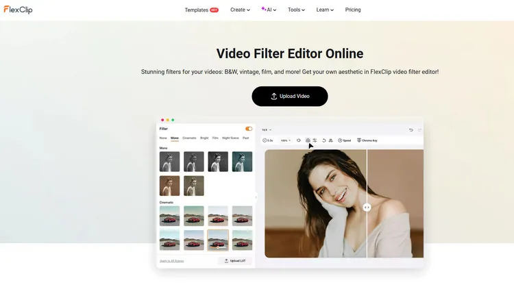 Filter Library - FlexClip