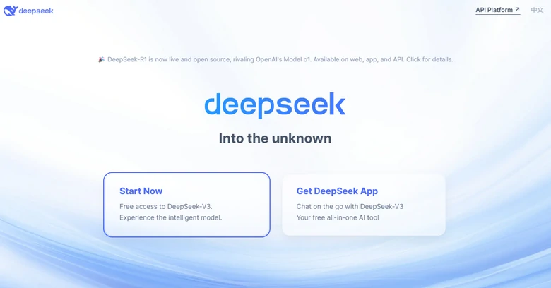 DeepSeek Overview