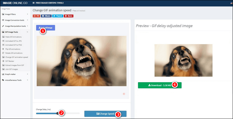 Add animated text and images to a gif - Gifntext - The online gif editor