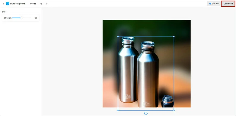 Adjust the Subject Position and Download the Blurred Image
