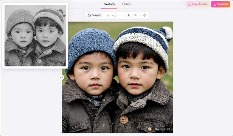 Colorize Your Black and White Image