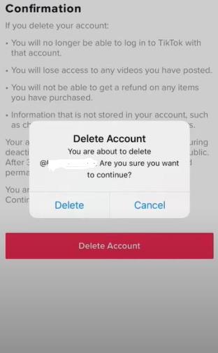 Image Board: How to Delete TikTok Account - Delete Account