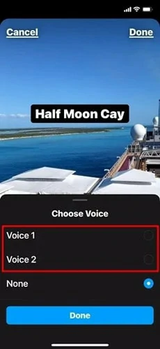 Select the Robotic Voice You Like