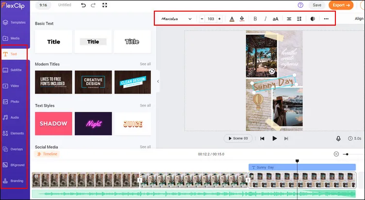 Make TikTok Photo Swipe Videos with FlexClip - Step 4